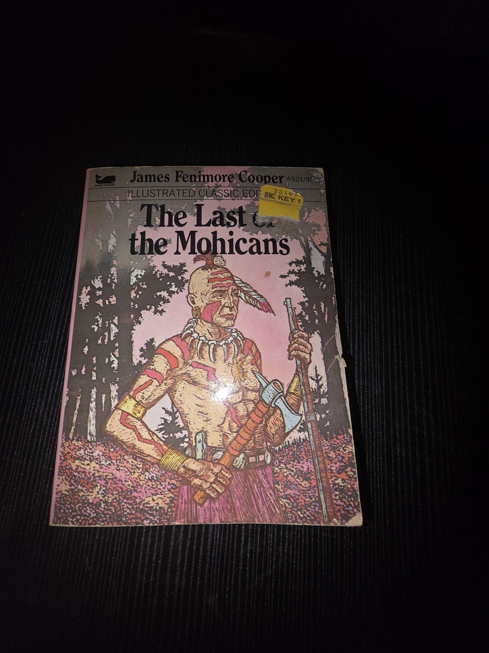 The Last of the Mohicans - Pink Illustrated Paperback
